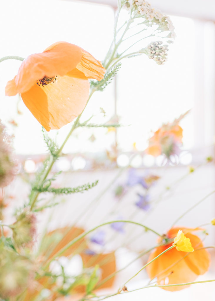 Détail bouquet de fleurs appartement Arêches – Beaufort